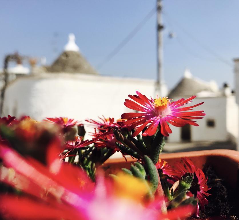 Trulli Fenice Αλμπερομπέλο Εξωτερικό φωτογραφία